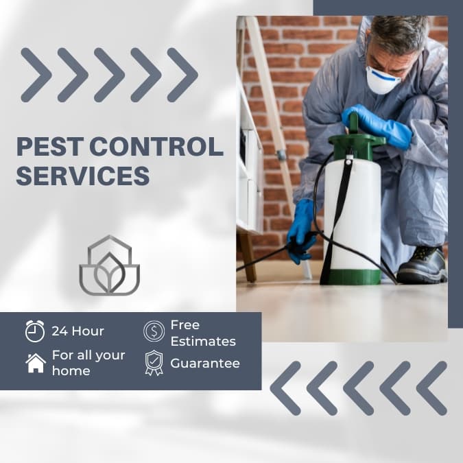 professional-services-12-.jpg