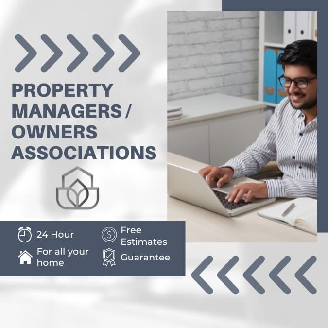 professional-services-20-.jpg